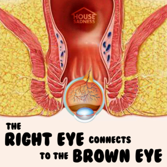 House Sadness Episode 81 The Right Eye Connects to the Brown Eye